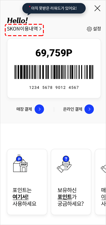 Check SKON usage details